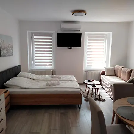 Srce Vrsca Apartment Vrsac