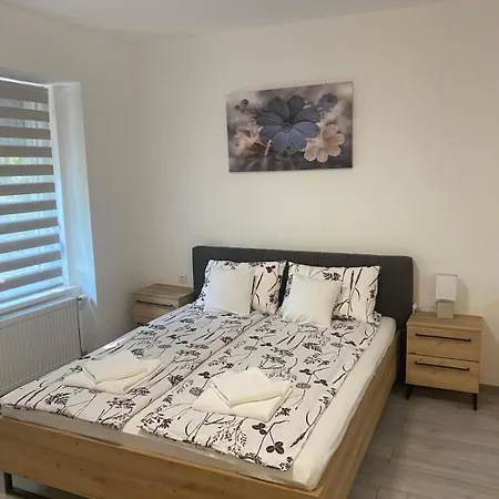 Apartment Srce Vrsca Vrsac